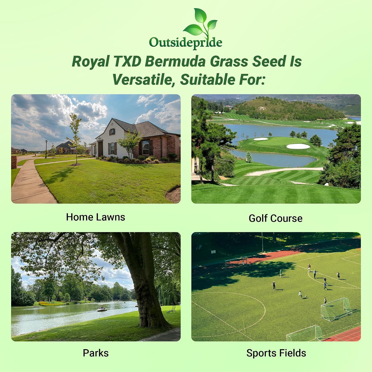 Outsidepride Royal TXD Bermuda Grass Seed Blend - 1 lb. Warm Season, Fast Growing Turf Grass Seeds: Heat & Drought Tolerant, Ideal for Home Lawns & Sports Fields, Dense & Lush Green Coverage