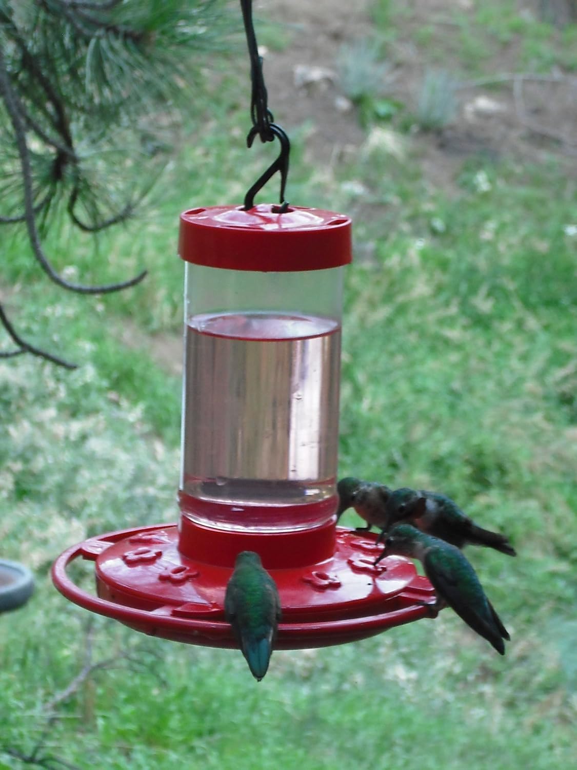 First Nature Hummingbird Feeder - 10 Feeding Ports - Red Base | Wide Mouth Prevents Messy Spills - Sealing Ring Prevents Bottom Leaks - Multi-Port Base Accommodates Flocks