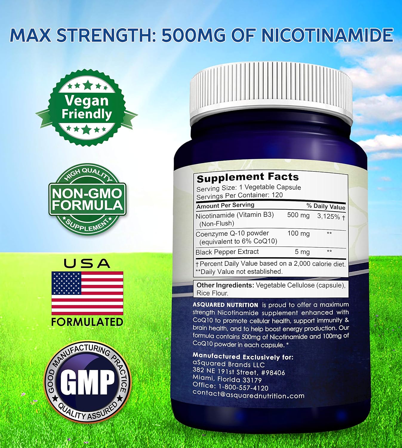 Nicotinamide with CoQ10 (120 Capsules) - Vitamin B3 500mg (Niacinamide Flush Free) - Coenzyme Q10 Powder - VIT B-3 & Coq 10 Supplement Pills to