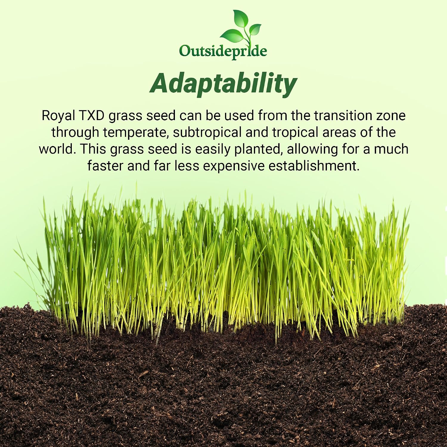 Outsidepride Royal TXD Bermuda Grass Seed Blend - 1 lb. Warm Season, Fast Growing Turf Grass Seeds: Heat & Drought Tolerant, Ideal for Home Lawns & Sports Fields, Dense & Lush Green Coverage