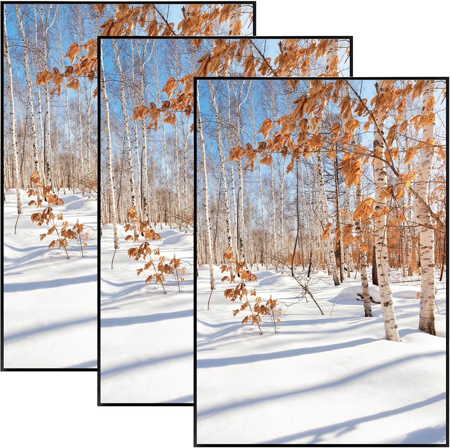 Golden State Art 3 Pack 12x12 Black Aluminum Frames, Real Glass Fronts