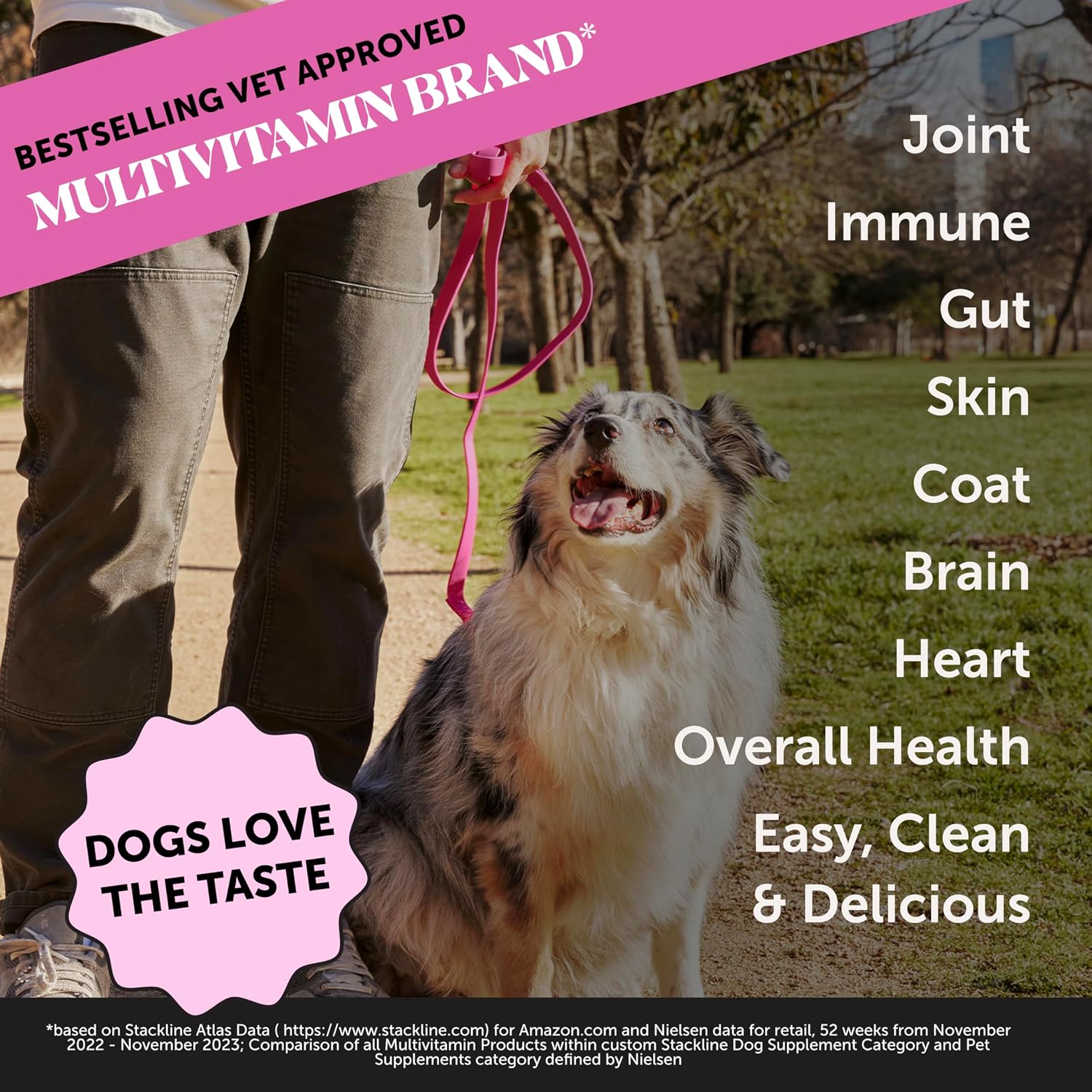 10-in-1 Dog Multivitamin Supplement with Glucosamine & Probiotics - Hip & Joint Support, Digestive Health, Immune Support, Heart & Skin - All-in-One Daily Vitamins & Omega-3s for Dogs, Chicken, 90 Ct