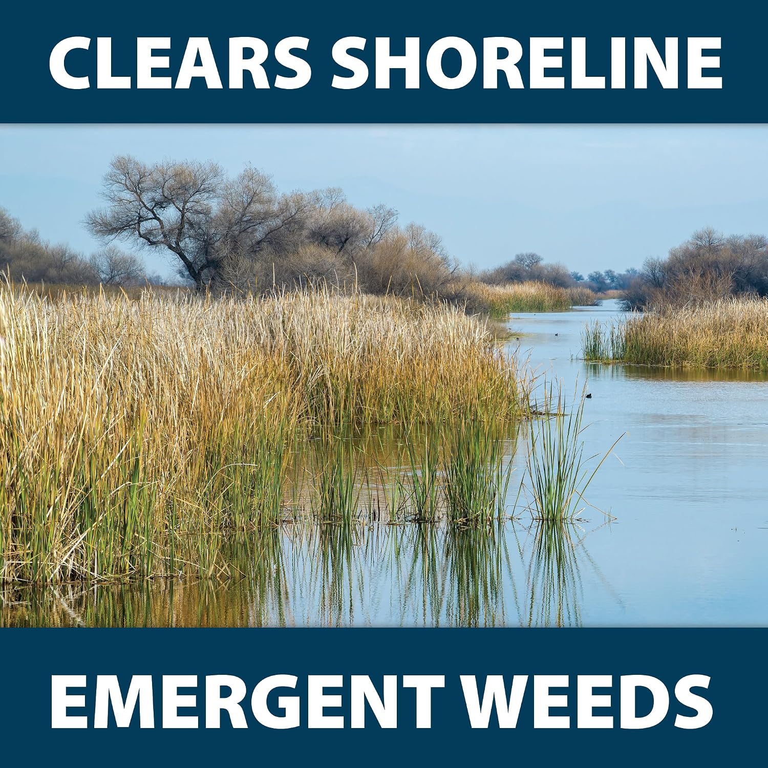 Airmax Shoreline Defense Emergent Weed Control Herbicide, 1 Quart | Concentrated glyphosate treatment controls phragmites, pond grass & cattails in aquatic shoreline areas