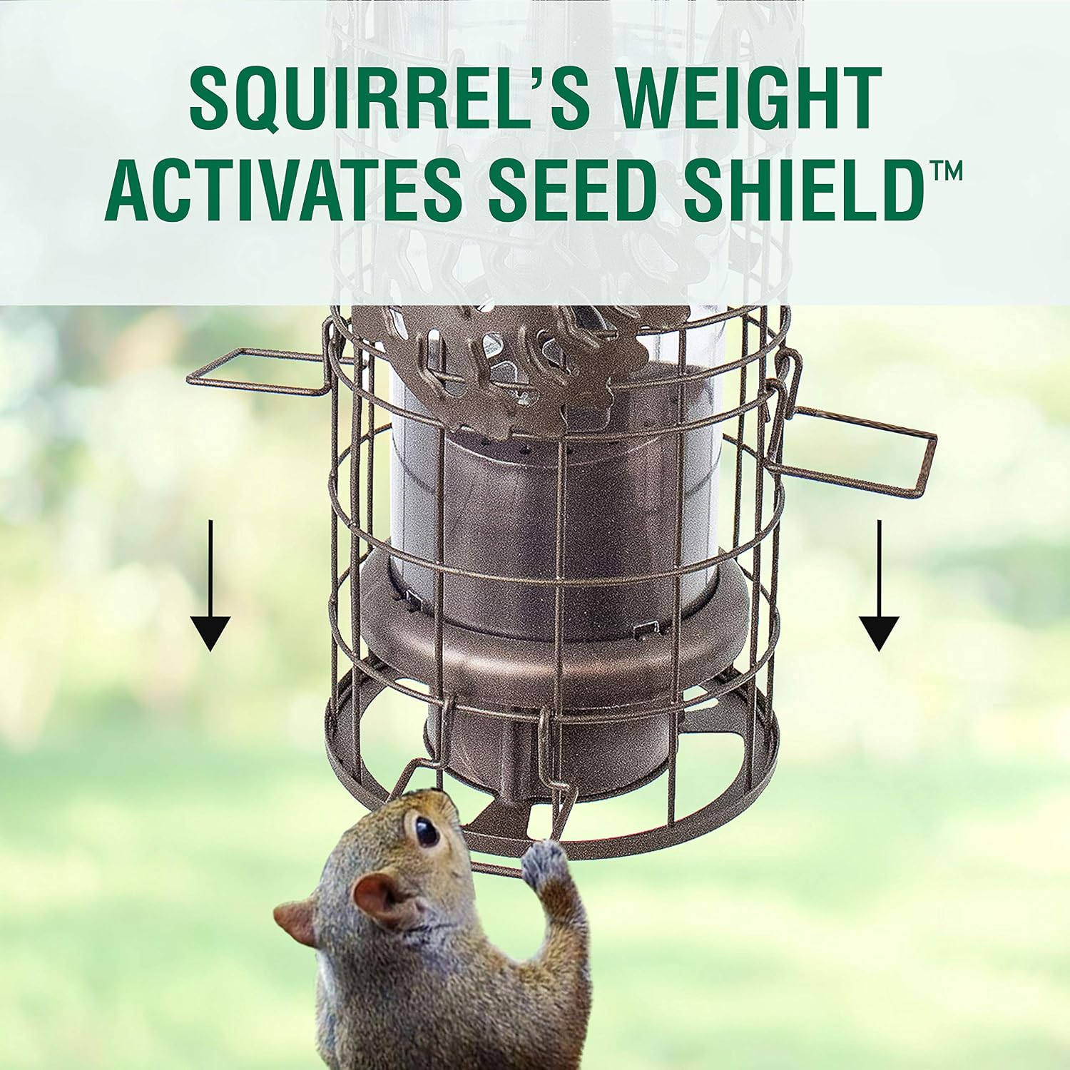 Perky-Pet Squirrel-Be-Gone Max Pinecone Bird Feeder with Flexports – 1.75 lb Capacity