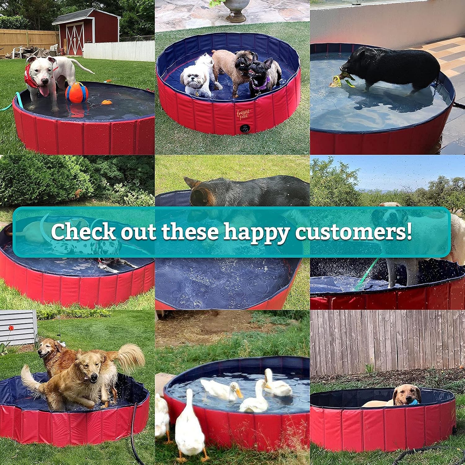 XL Foldable Pool - 60" Width Swimming Pool for Large Dogs & Kids, Non-Slip Scratch Resistant Hard Plastic Shell, Portable Pet Pool