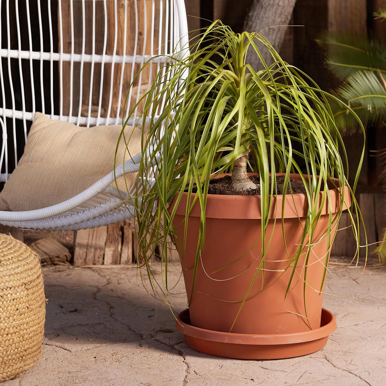 Bloem Terra Pot Planter: 20" - Terra Cotta - Durable Resin Pot, for Indoor and Outdoor Use, Gardening, 13.5 Gallon Capacity, Saucer Sold Separately