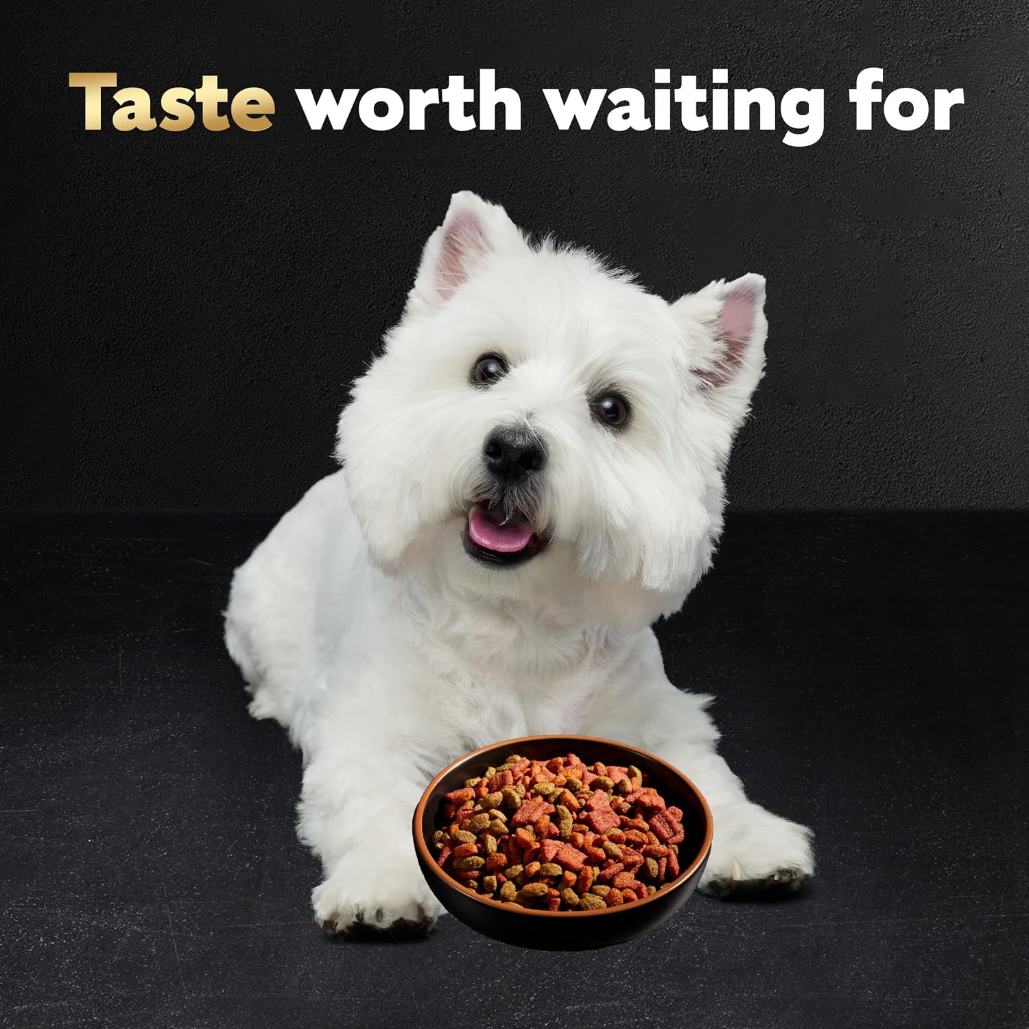 Cesar Small Breed Dry Dog Food, Chicken & Spring Vegetables Flavor, 5 lb | Made in USA, Real chicken #1 ingredient, 26 essential nutrients, supports small breed health, no artificial flavors