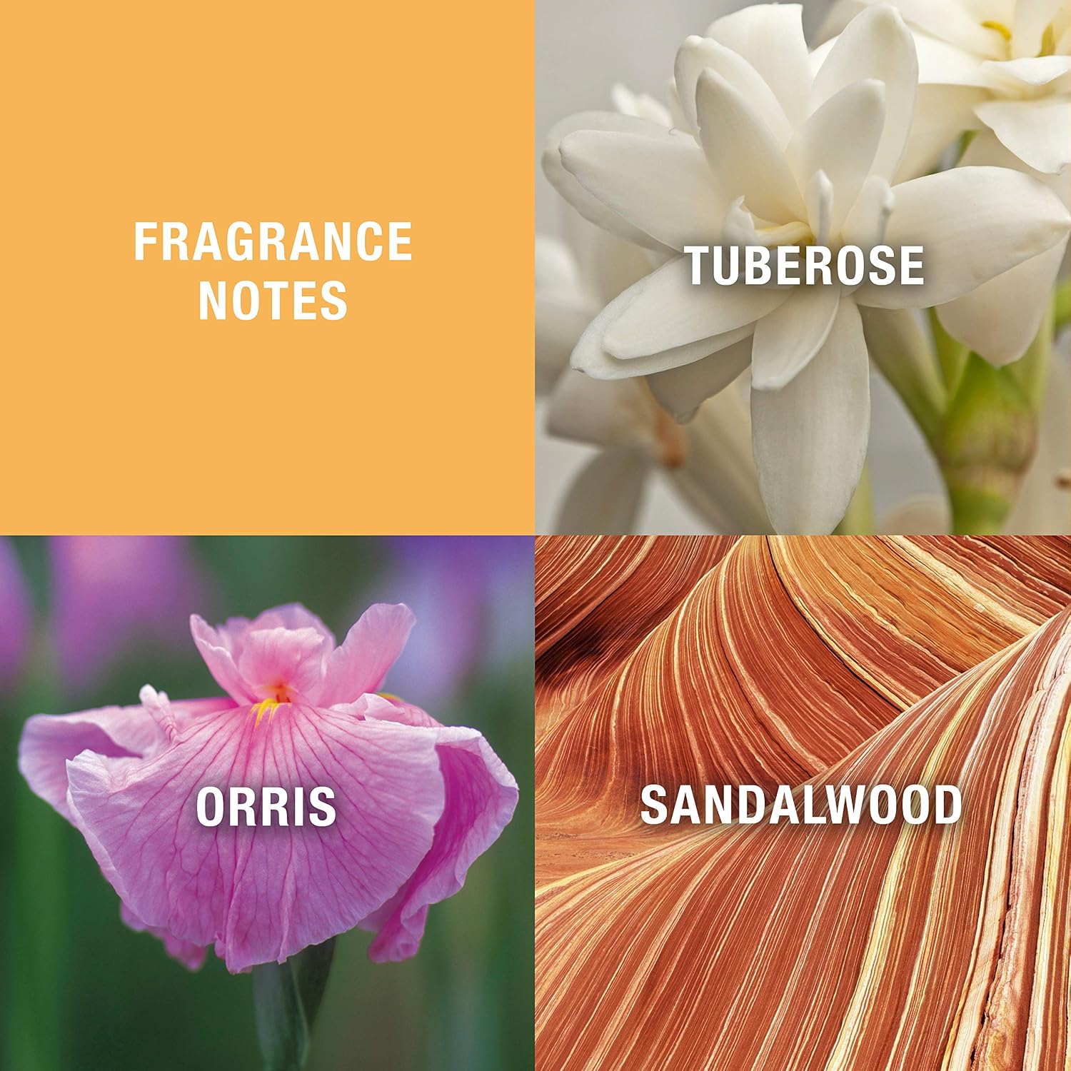 Evyan White Shoulders Eau de Cologne for Women, 4.5 fl oz | Women's floral eau de cologne. Perfume with notes of gardenia, lilac, and amber.