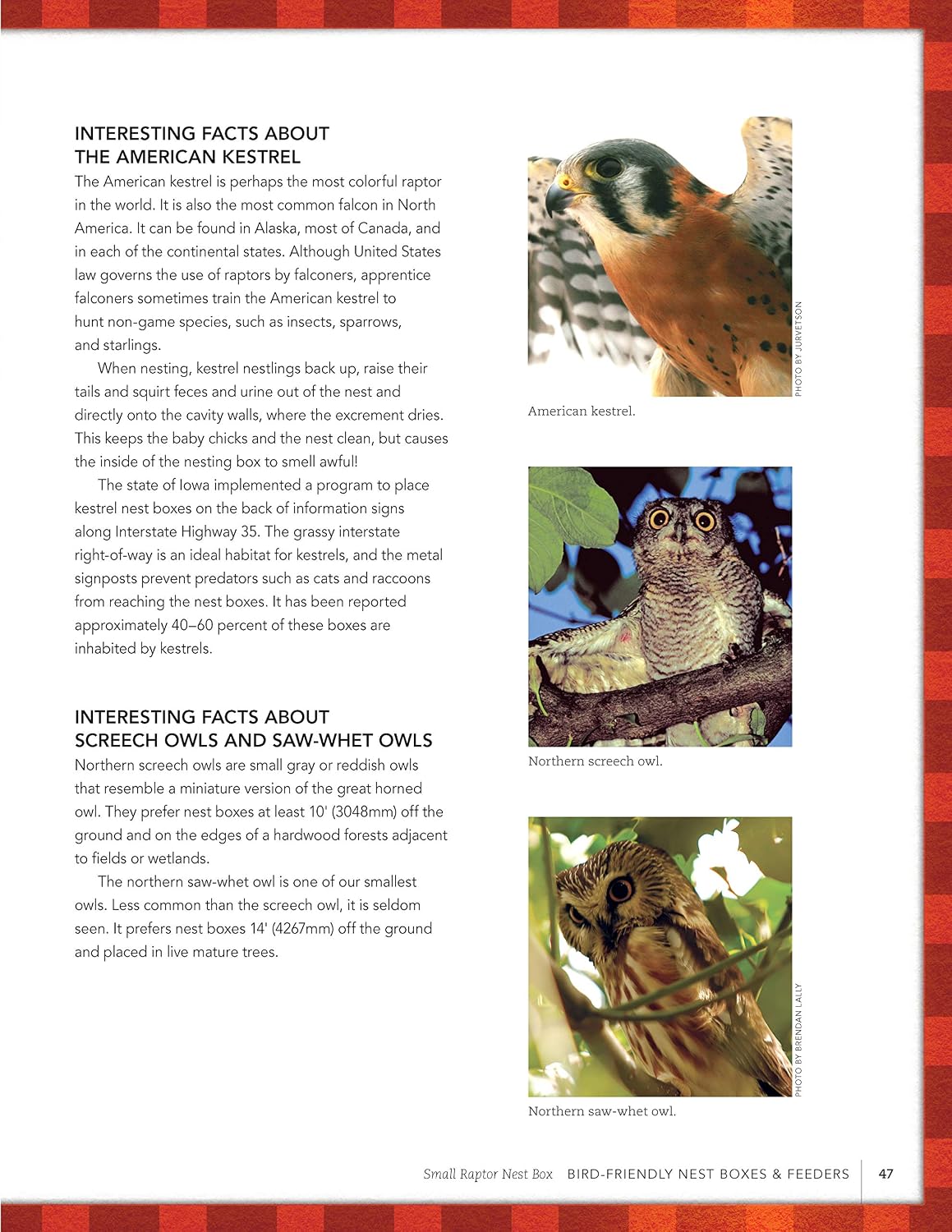 Bird-Friendly Nest Boxes & Feeders: 12 Easy-to-Build Designs that Attract Birds to Your Yard (Fox Chapel Publishing) Projects and Advice for