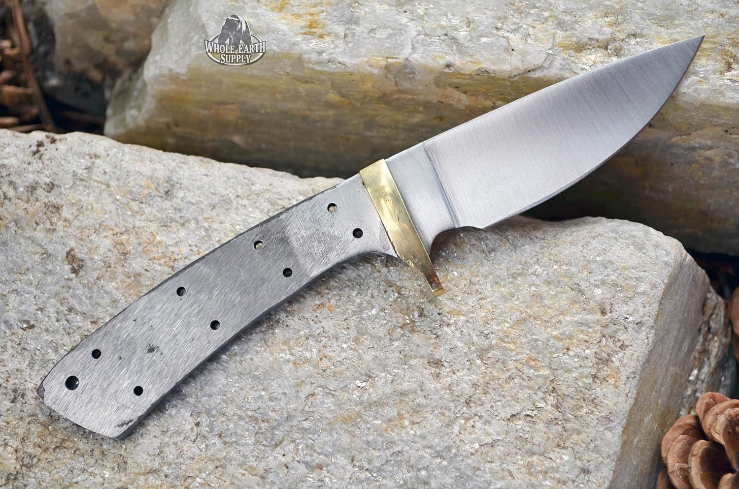 420 Stainless Steel Knife (420 Stainless Steel, 3.5 Inch Blade & 4.5 Inch Blade)