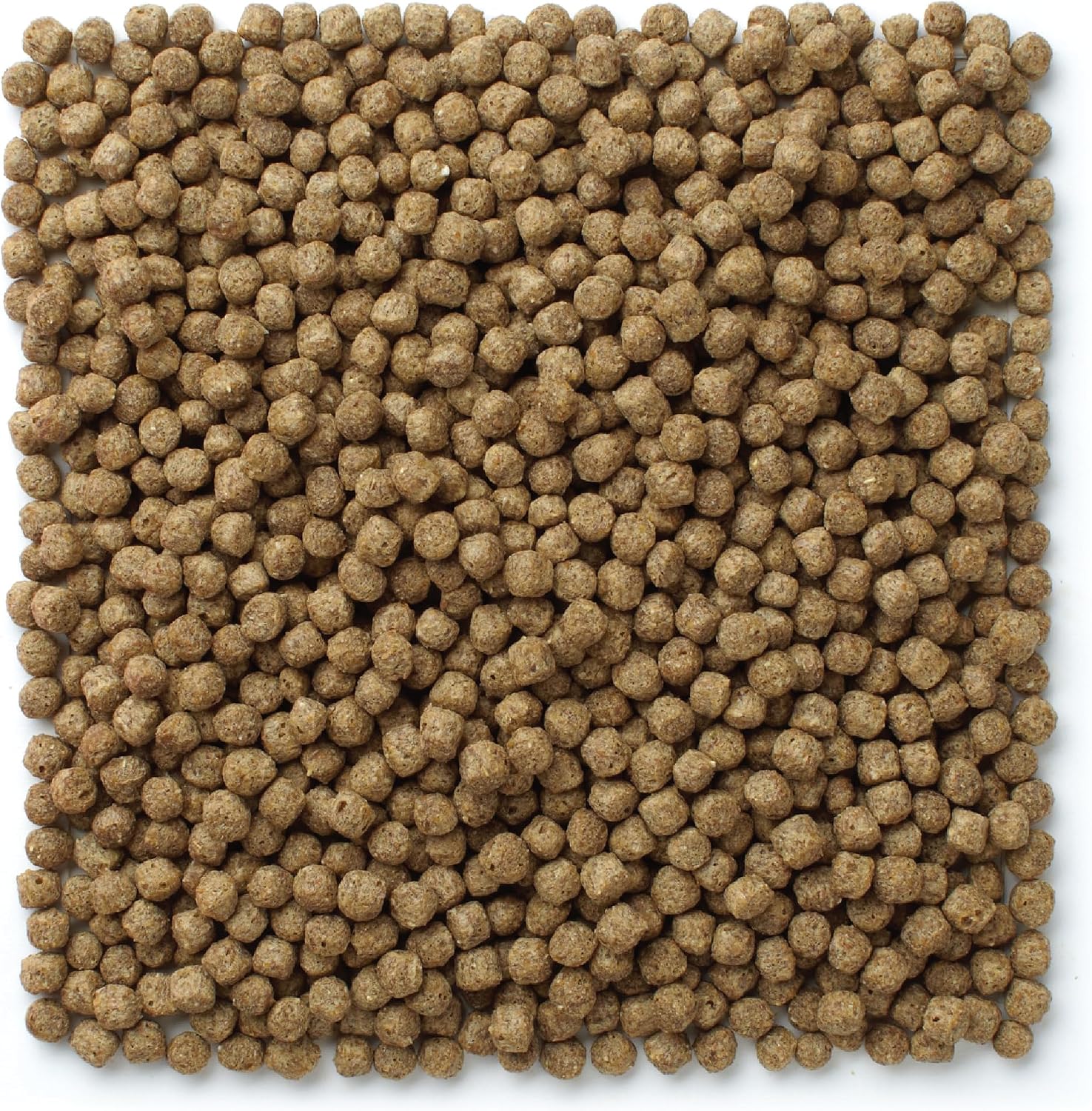 Mazuri Koi Floating Pond Nuggets, Floating Koi Fish Food for Ponds, 20 lbs