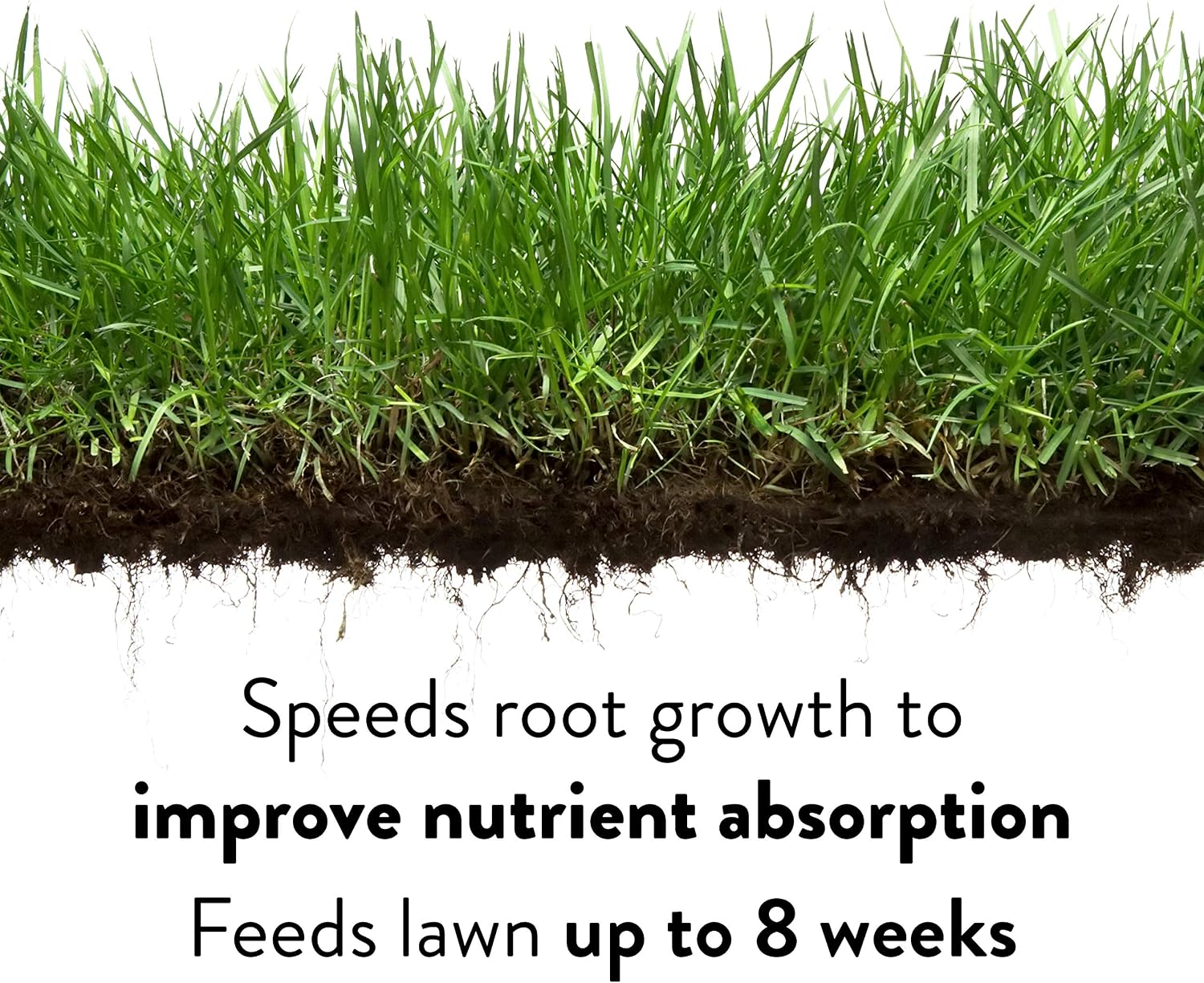 GreenView Lawn Food 48 lb. Bag, Covers 15,000 sq. ft. | 22-0-4 NPK formula - Restores soil nutrients - 8 weeks continuous feeding