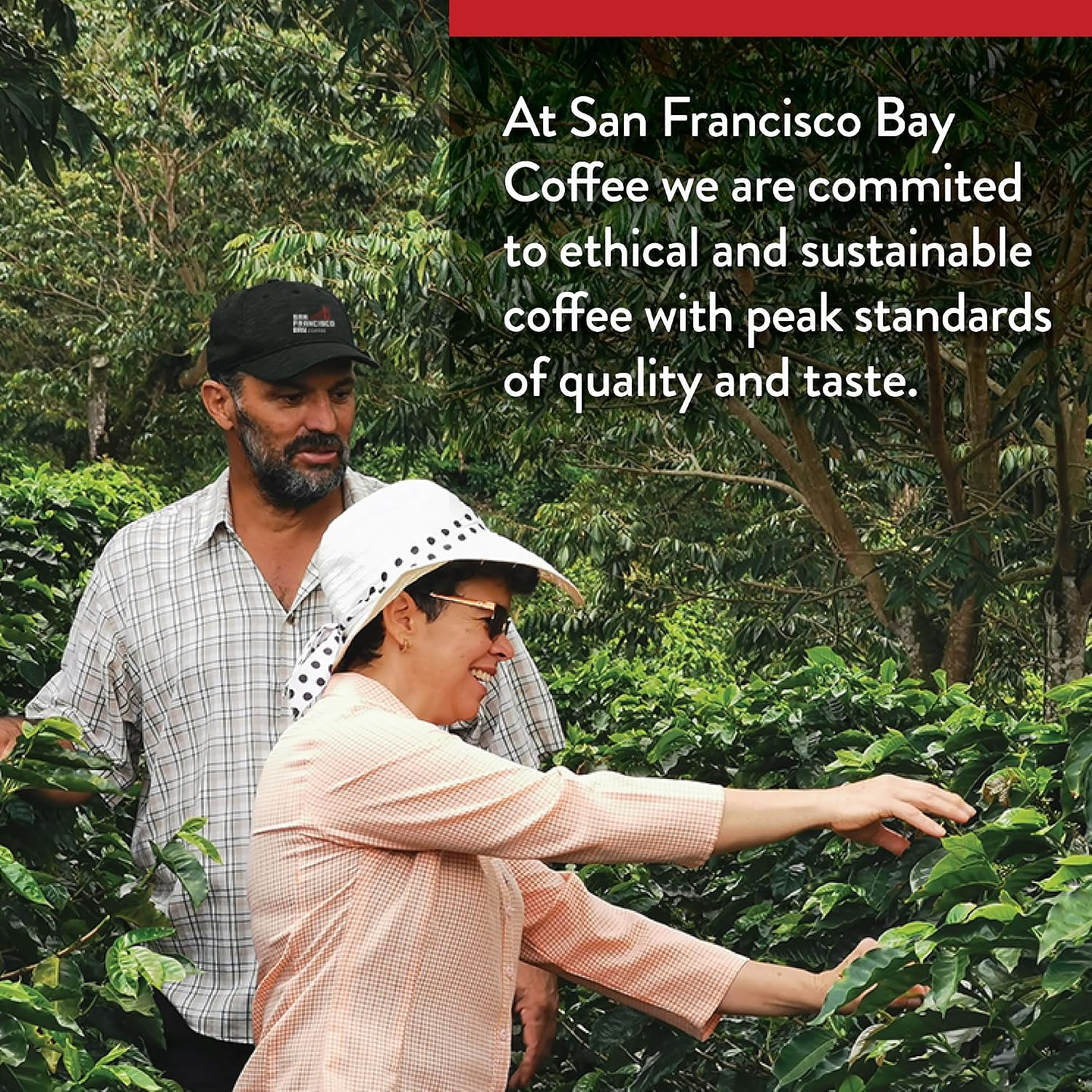 SAN FRANCISCO BAY FRENCH ROAST 24 ONE CUPS for Keurig K-Cup Brewers