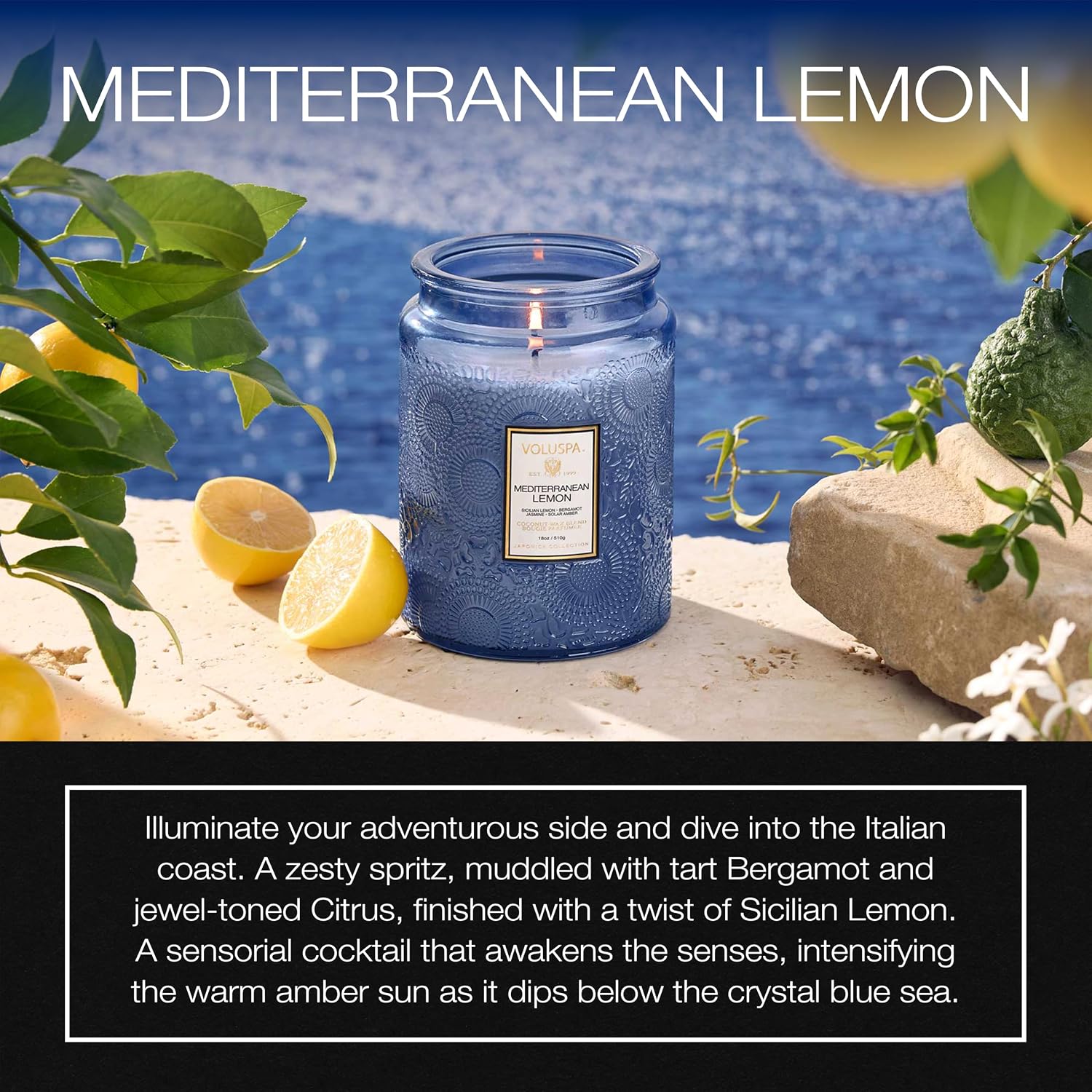 Voluspa French Cade Lavender Large Scented Candle Jar 18 Oz, 100 Hr Burn | Coconut Wax Blend in Decorative Glass, Clean Even Burn, USA Handcrafted Gift for Hosts, Fragrance Lovers & Relaxed Rooms