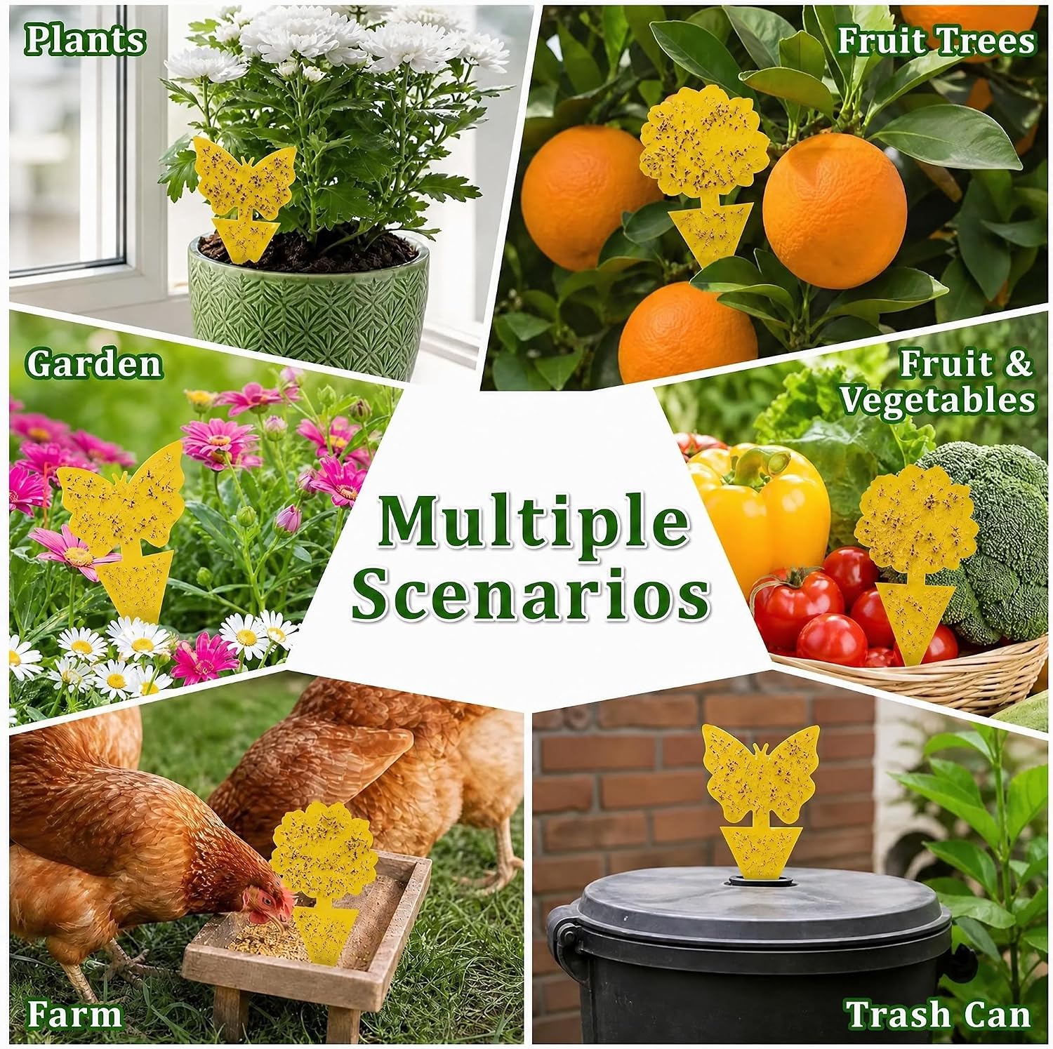 40 Pack Fungus Gnat Traps, Yellow Sticky Fruit Fly Traps for Indoor Plants