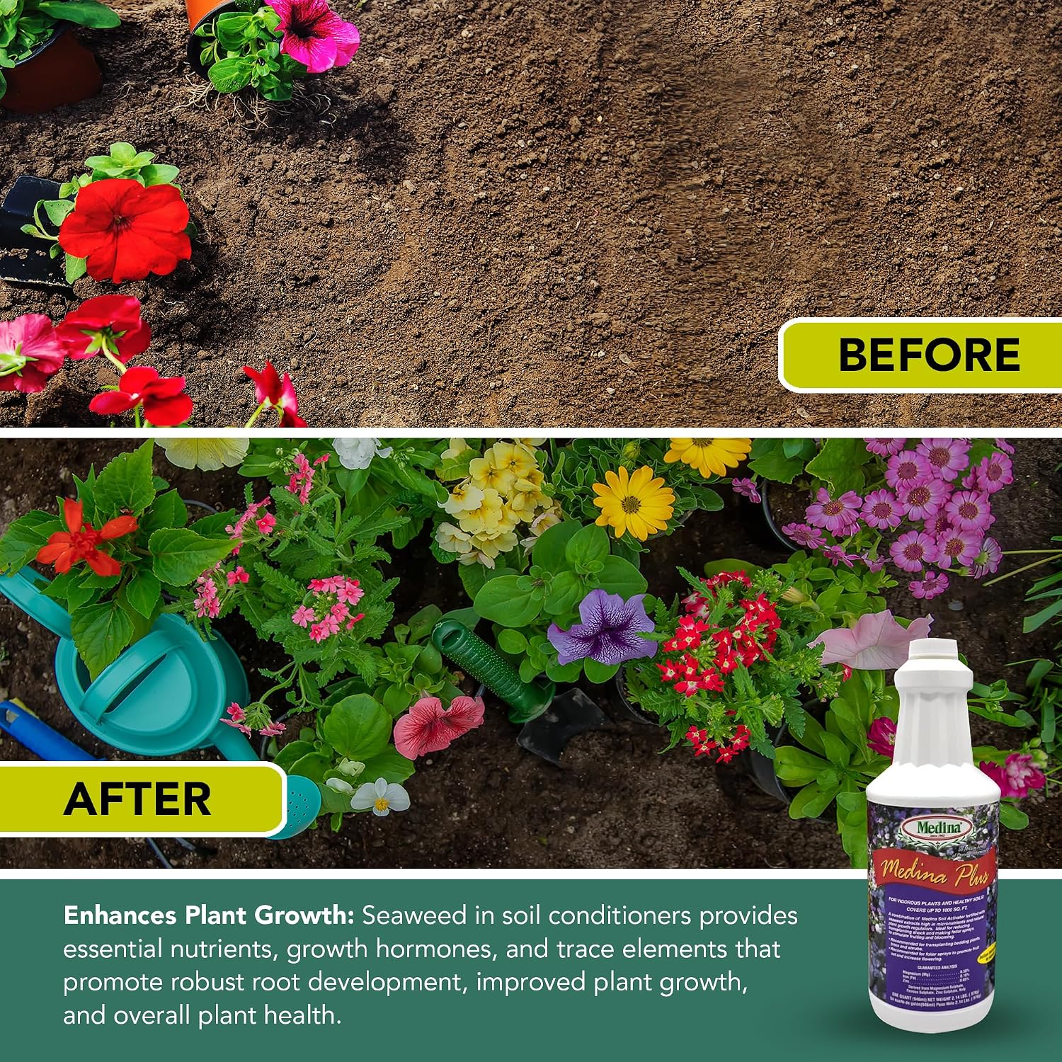 Medina Plus Soil Activator - Liquid Soil Loosener for Lawns & Gardens - Micronutrient-Rich Soil Conditioner & Softener - Used with House Plant Fertilizer, Liquid Plant Food for Houseplants - 1 End Qt
