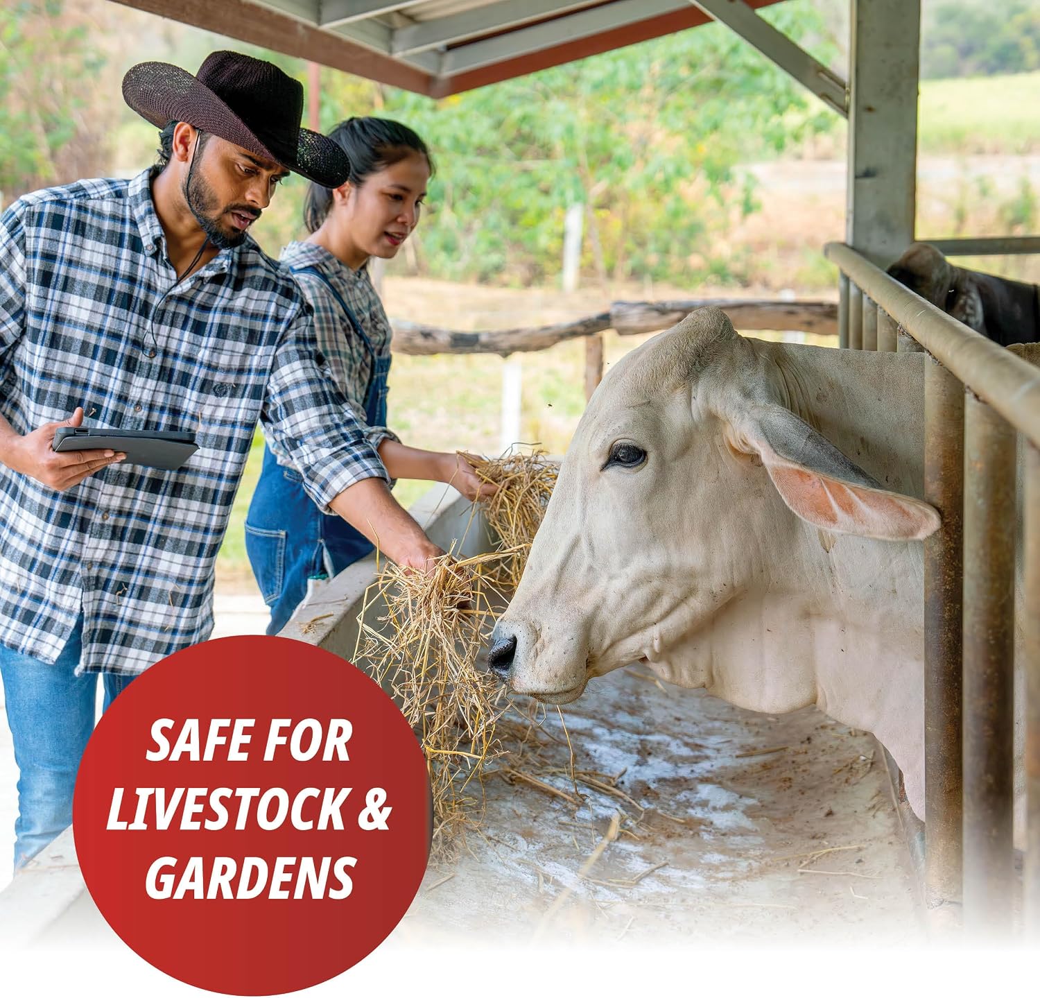 Martin's 4 lb Viper Home & Garden Dust