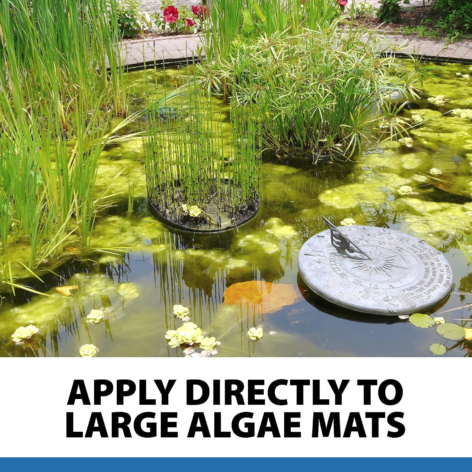 CrystalClear Algae-Off - Registered