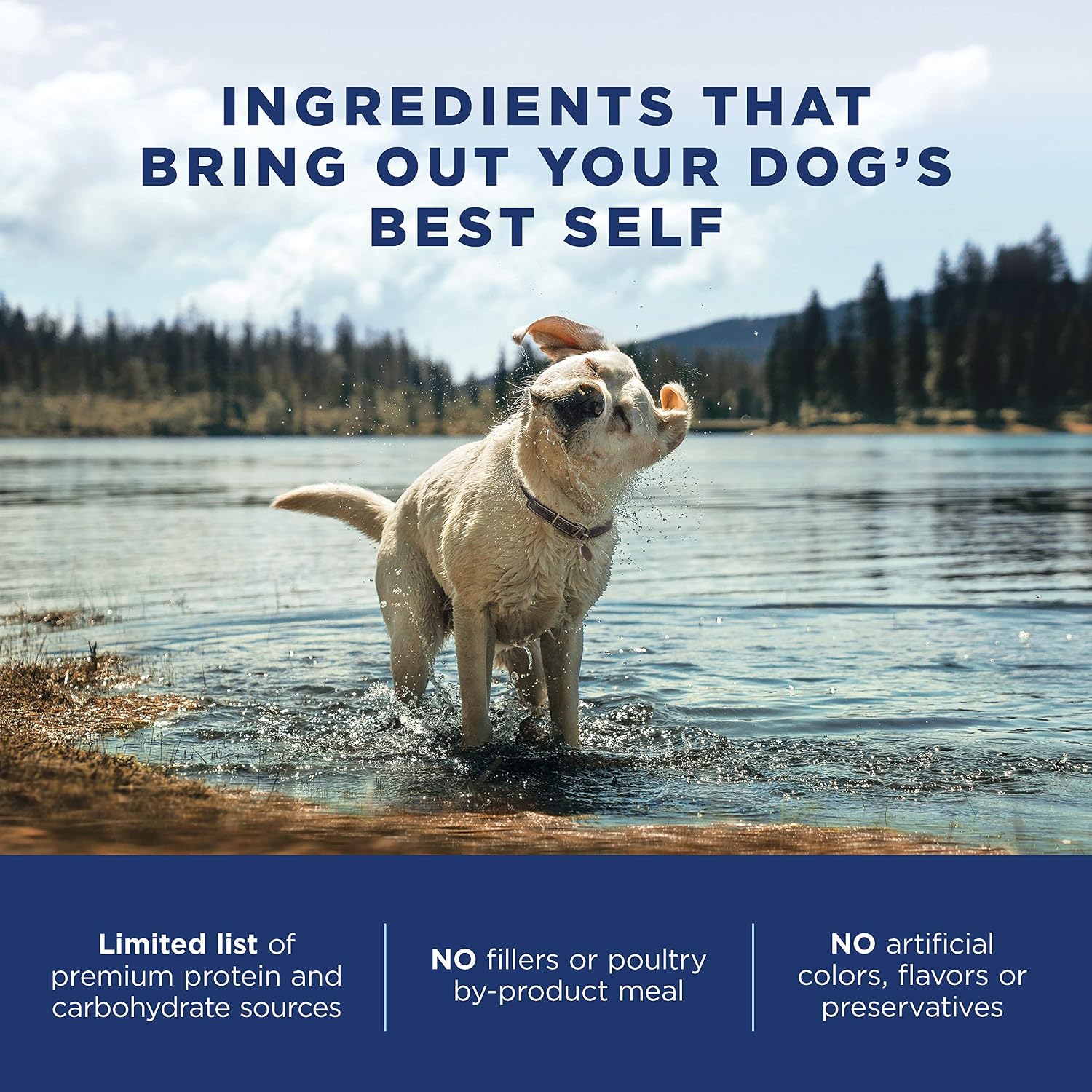 Natural Balance Limited Ingredient, Salmon & Sweet Potato, 4 lb