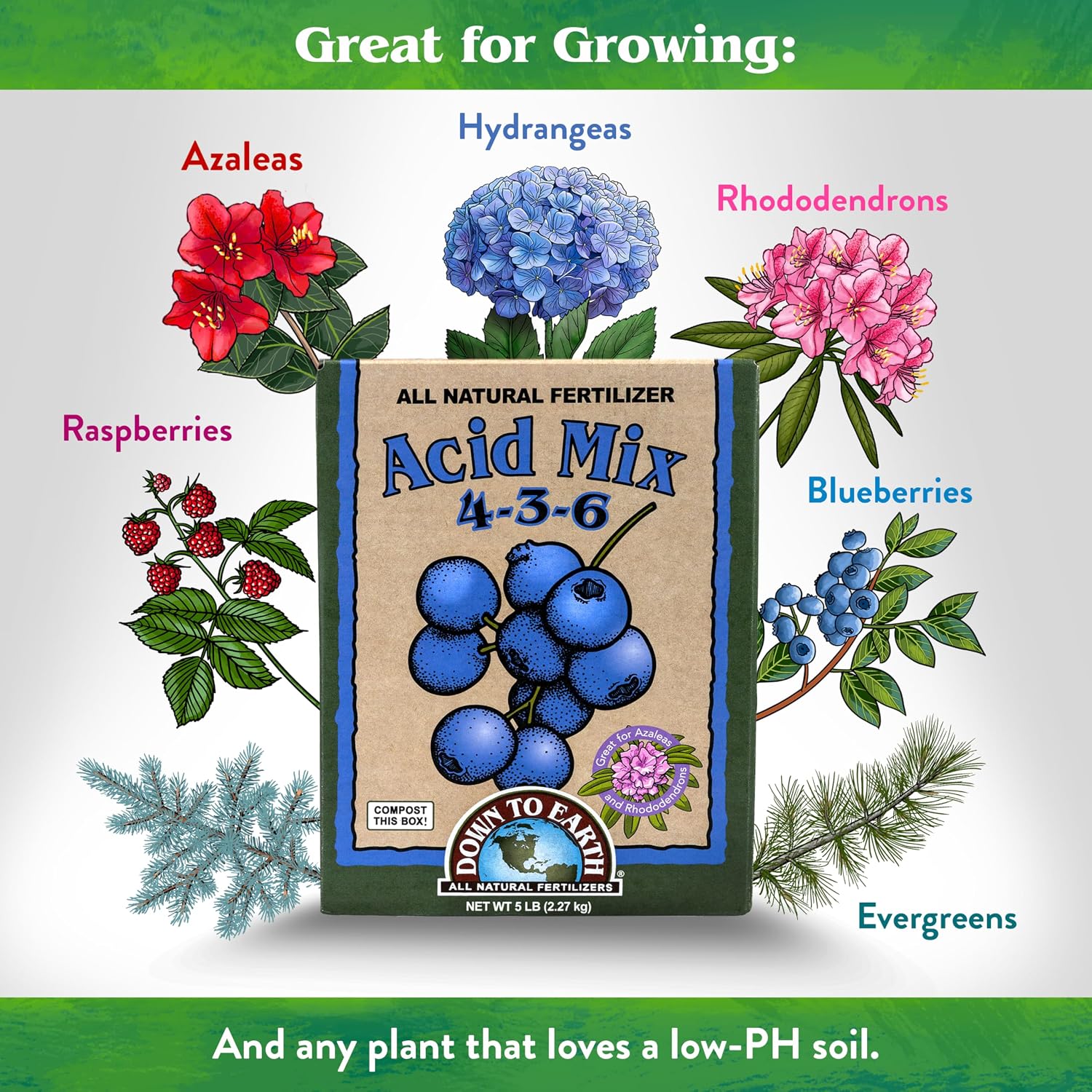 Down To Earth All Natural Fertilizers Organic Acid Mix - 4-3-6, 1 lb | Plant Food for Blueberries, Raspberries, Azaleas, Camellias, Rhododendrons, Hydrangeas, Evergreens and Acid-Loving Plants