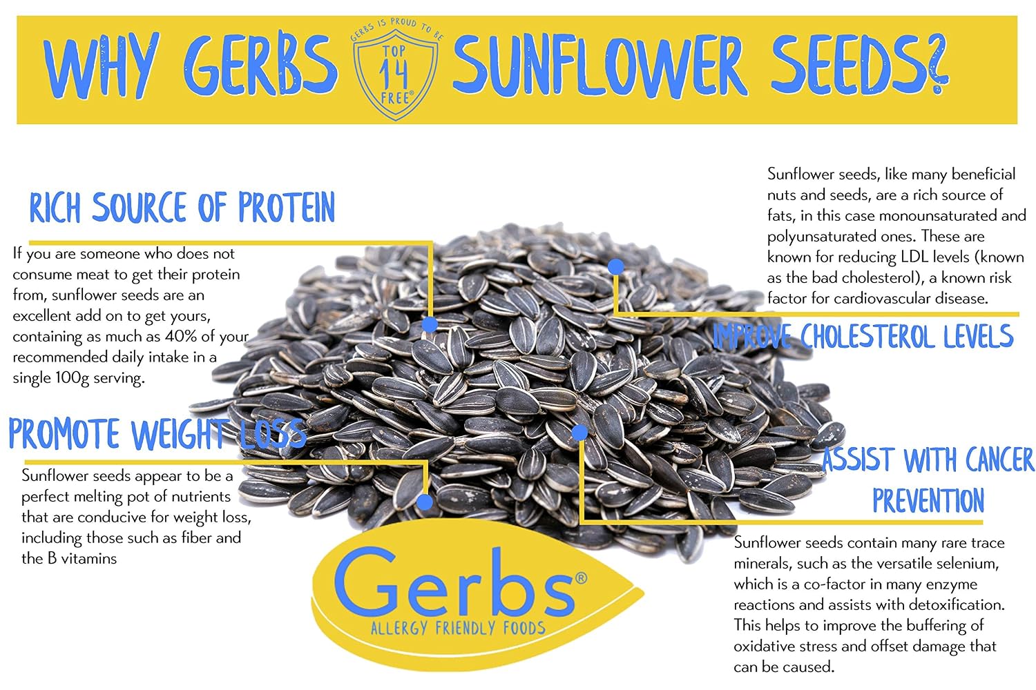Lightly Sea Salted Sunflower Seed in Shell by Gerbs - 2 LBS - Top 11 Food Allergen Free & Non GMO - Premium Dry Roasted Seeds – COG USA | Small Batch, No Artificial Additives, Resealable Bag | Crack-and-Eat Crunchy Snack | Top 14 Allergen-Free