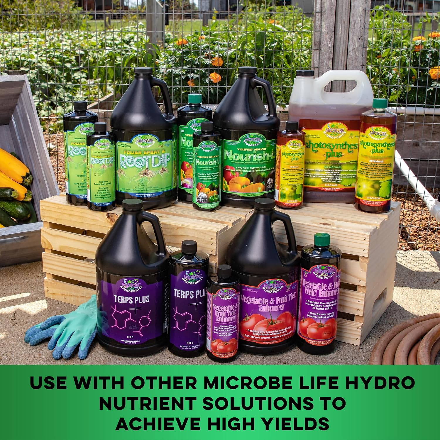 MICROBE LIFE HYDROPONICS Nourish-L Liquid Conditioner, Stimulator to Enhance Plant Nutrient Absorption for Fruits & Vegetables, Use with Any Feeding Systems Including Hydroponics or Soil, 16 Ounces