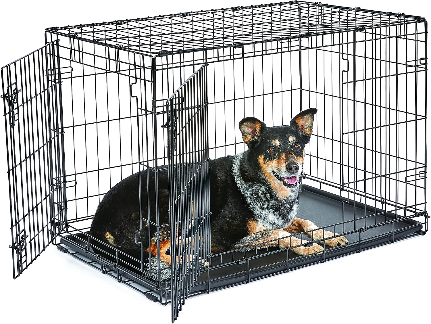 Midwest Homes for Pets 24-Inch New World Crate for Small Breeds, 12-20 lbs, Double Door Folding Dog Crate, Leak-Proof Tray & Secure Latches, Portable, Durable & Easy to Assemble