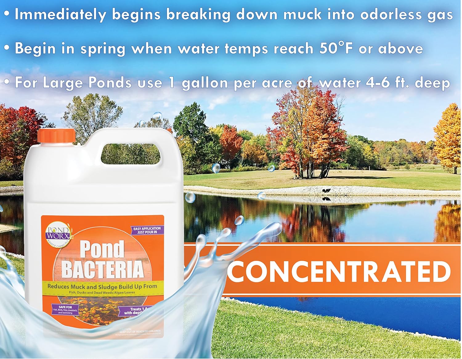 PondWorx Pond Bacteria - Formulated for Large Ponds, Water Features and Safe for Koi - Gallon