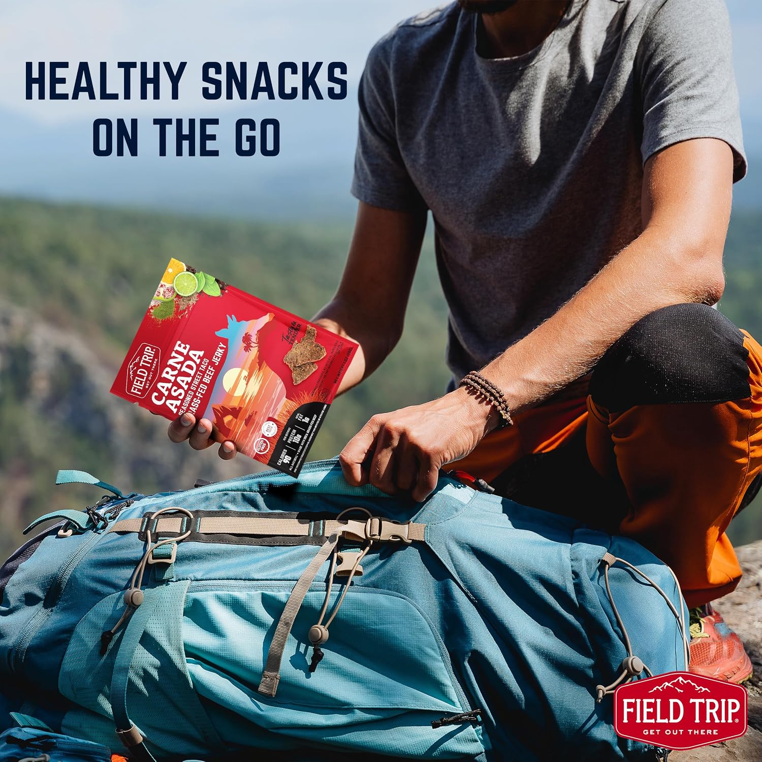 Field Trip Beef Jerky, Original, 1 Oz Bag, 12 Bags/carton | Grass Fed Beef Jerky, Healthy Gluten Free Snacks, All Natural, Paleo-Friendly Beef Jerky, High Protein, Low Carb, No Nitrates
