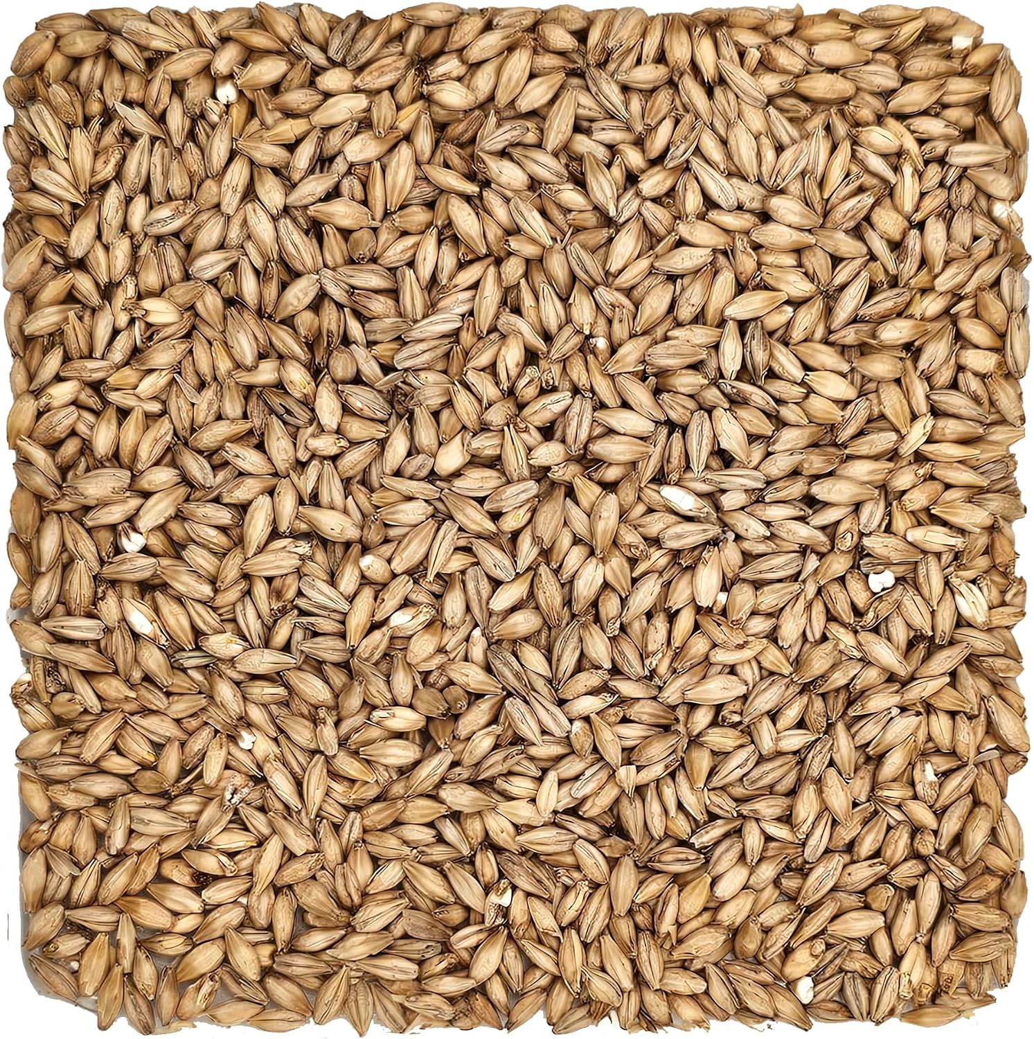 Rahr Standard 2-Row Malt 10 lb