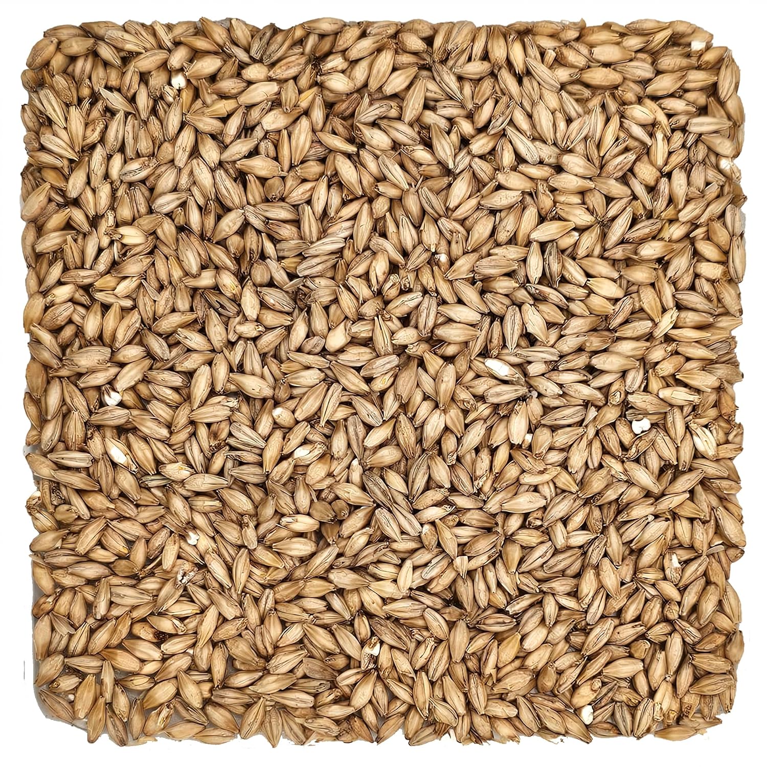 Rahr Standard 2 Row Malt 10 Lb.