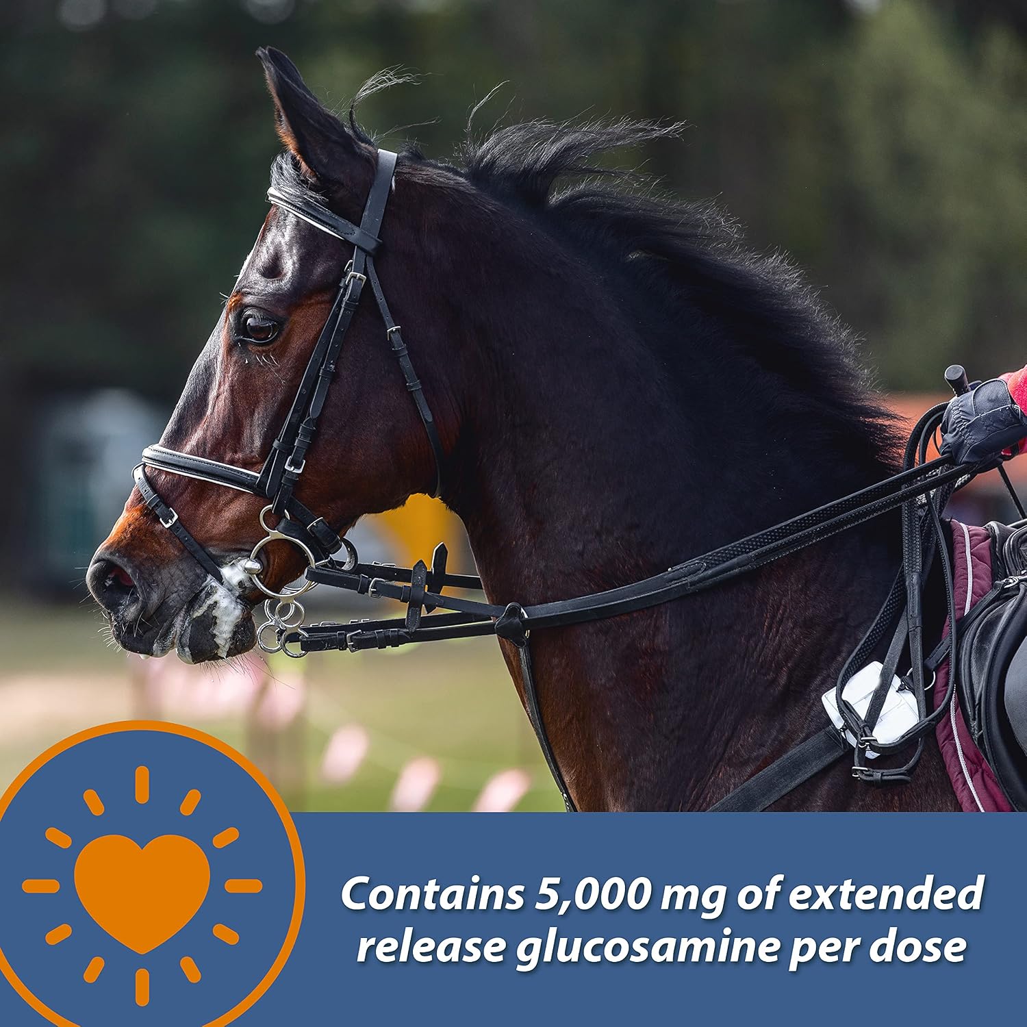 Farnam MaxFlex XR Extended Release Joint Supplement for Horses, Provides a continuous supply of joint health ingredients for 24 hours, 0.9375 pound