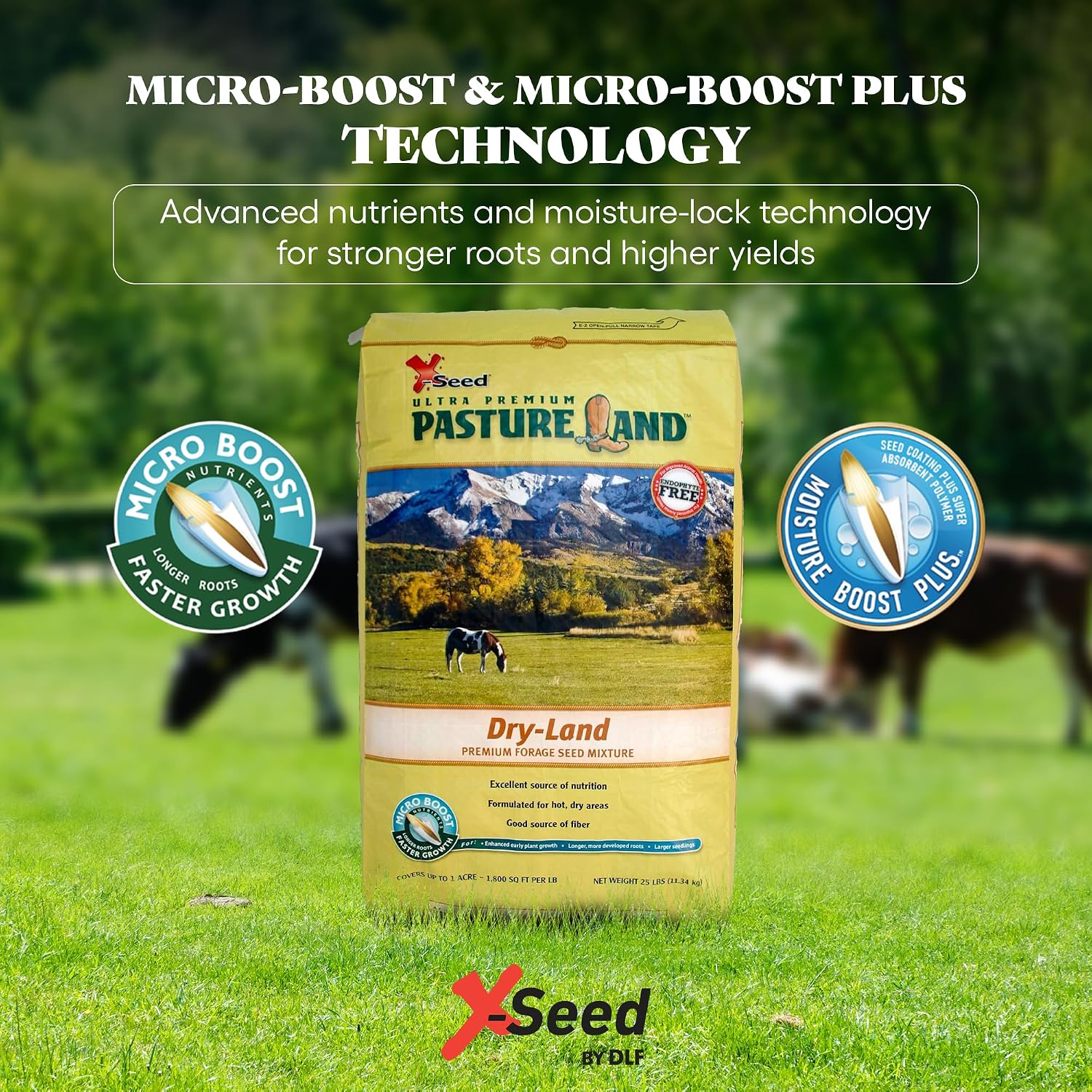 X-Seed Pasture Land Dry-Land Forage Seed Mixture with Micro-Boost – Tall Fescue Orchard Grass Ryegrass Endophyte Free Pasture for Safe Nutrition of Livestock, Formulated for Dry Areas – 25-Pound Bag