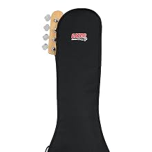gig bag