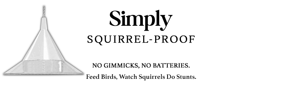 squirrel proof bird feeders