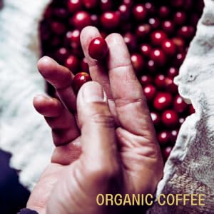Organic coffee capsules