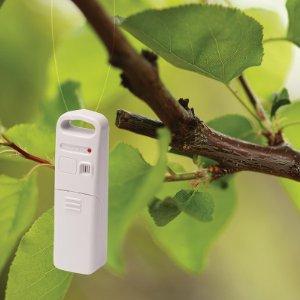 temperature monitor