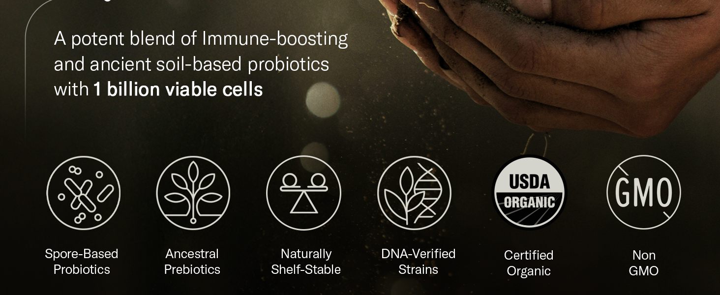 spore based probiotic for women synbiotic supplements soil based probiotics for digestive health