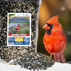 cardinal frenzy mix of safflower and black oil for wild birds year round feeding