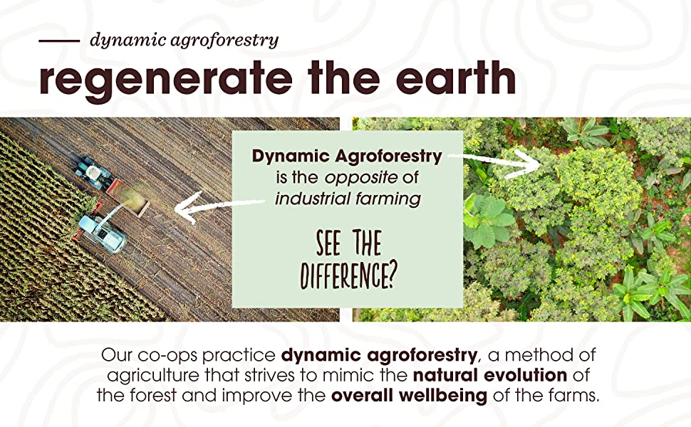 regenerate the earth with dynamic agroforestry