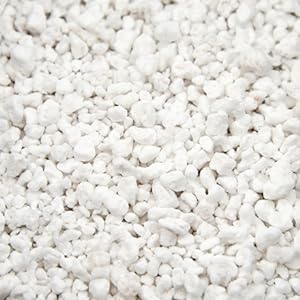 Best soil potting mix for carnivorous plants Venus Flytrap Pitcher Plant soil mix Perlite