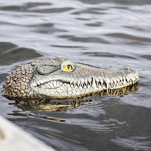 alligator head decoy alligator pool float predator floating crocodile pool