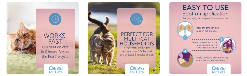 Catego - Works Fast