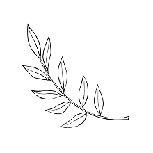 olive branch