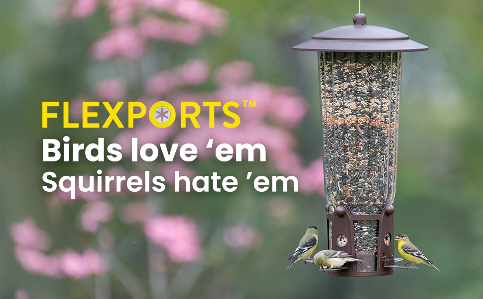 Perky-Pet Squirrel-Be-Gone Bird Feeder with Flexports: Birds love &amp;#39;em, squirrels hate &amp;#39;em