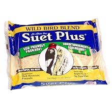 Suet Plus Suet Cake Wild Bird Blend