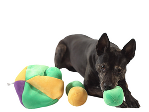 hide a ball puzzle toy