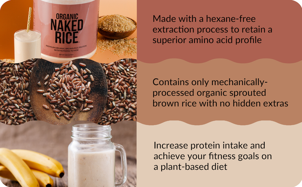 rice protein powder, vegan protein powder, unflavored rice protein powder, vegan rice protein