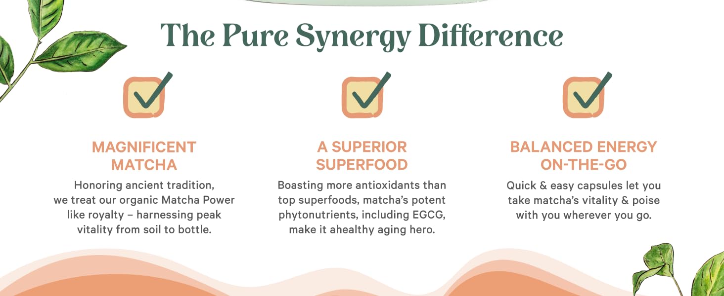 Magnificent Matcha, A Superior Superfood, Balanced Energy On-the Go