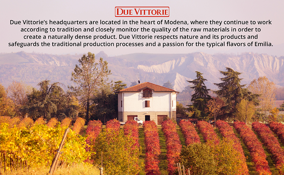 Due Vittorie Oro Gold Premium Edition Real Balsamic Vinegar thick balsamic vinegar